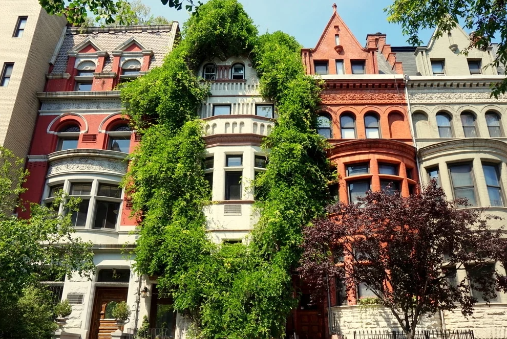 100 Top Think-Tanks in NEW YORK